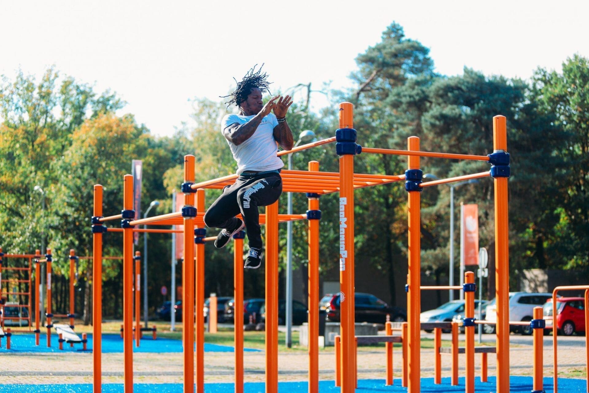 Calisthenics Park L Advanced BarManiaPro